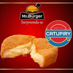 imagem Disco de catupiry