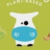 imagem Queijo Vegano