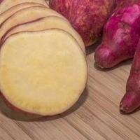 imagem Fibrada - Batata Doce
