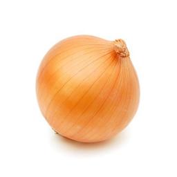 imagem Cebola
