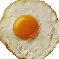 imagem Ovo Frito