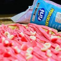 imagem FINI DENTADURA