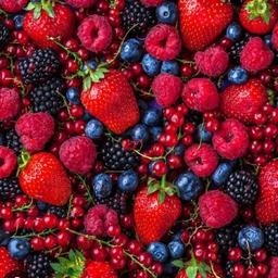 imagem Frutas Vermelhas
