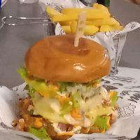 imagem Gourmet 1 + Fritas