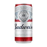 imagem CERVEJA BUDWEISER 269ML