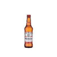 imagem Budweiser 330ml
