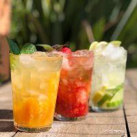 imagem ELBA RAMALHO (absolut com fruta da epoca)