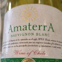 imagem Vinho Branco Amaterra