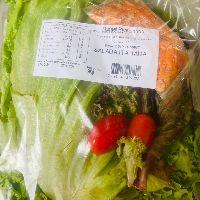 imagem BANDJ. SALADA ITALIANA 