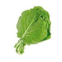 imagem Couve Manteiga