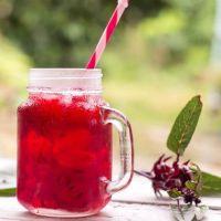 imagem ABACAXI & HIBISCO-300ml