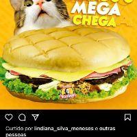 imagem Combo Mega Manoel