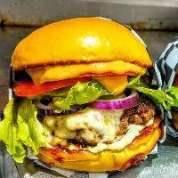 imagem Bot Salad
