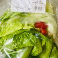 imagem BANDJ. SALADA ALFACE AMERICANA 