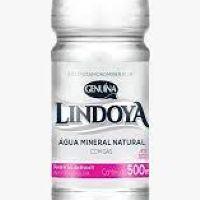 imagem ÁGUA C/ GÁS 500ML LINDOYA C/ 12UNIDADES ( FARDO)