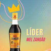 imagem Mel Zangão 900ml