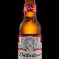 imagem Budweiser