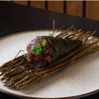 imagem Temaki Atum