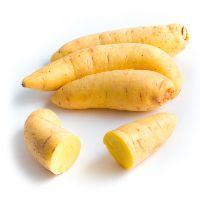 imagem Batata Baroa