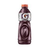 imagem 3325 Gatorade Uva 