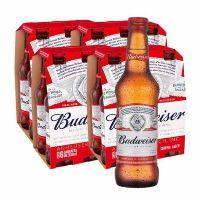 imagem Budweiser C\24 Unid.(Valor Quente).