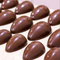 imagem Casca Blend 50g - 50 unidades