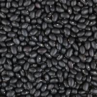 imagem Feijão Preto 