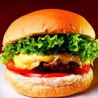 imagem 04- X-Salada