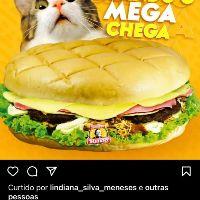 imagem Mega Manoel