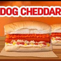 imagem Mika Dog Cheddar