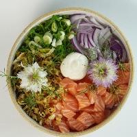 imagem Poke Filadélfia