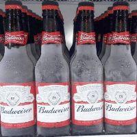 imagem Budweiser Gar.
