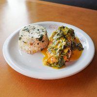imagem Peixe Paraense