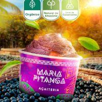 imagem Açai Puro