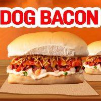 imagem Mika Dog Bacon
