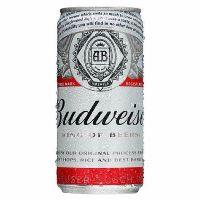 imagem BUDWEISER 269ML