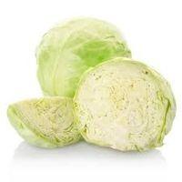 imagem Repolho Branco