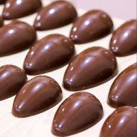 imagem Casca Blend 100g - 24 unidades