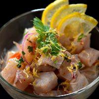 imagem Ceviche