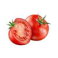 imagem Tomate