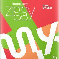 imagem ZIGGY DUAS GOIABAS
