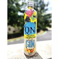 imagem Gin Qn FRUTAS TROPICAIS 900ML