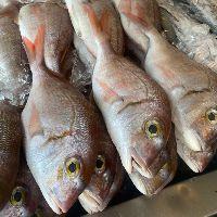 imagem PARGO