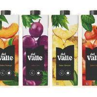 imagem Suco Del Valle 1L
