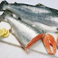 imagem Salmão Fresco posta ou pedaço pra filé Kg 