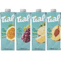 imagem Suco Tial 1lt