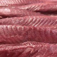 imagem file de atum