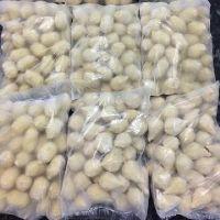 imagem 100 Salgadinhos Congelados