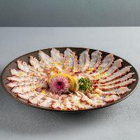 imagem Carpaccio Polvo
