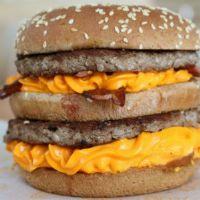 imagem Duplo cheddar onion mais natural gratis